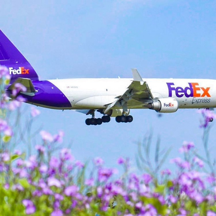 FedEx国际快递怎么查询(FedEx国际运单查询跟踪)